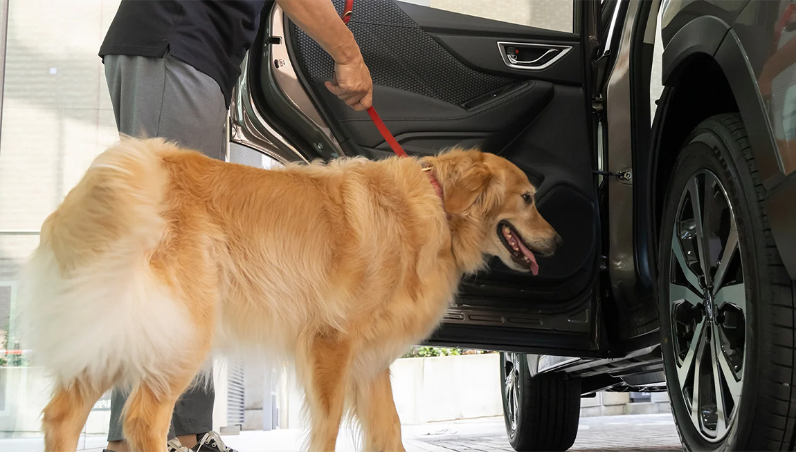 愛犬と相性バッチリ！ SUBARU「フォレスター」アーバンセレクションが愛犬家に最適な理由とは【PR】