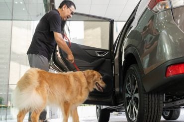 愛犬と相性バッチリ！ SUBARU「フォレスター」アーバンセレクションが愛犬家に最適な理由とは【PR】