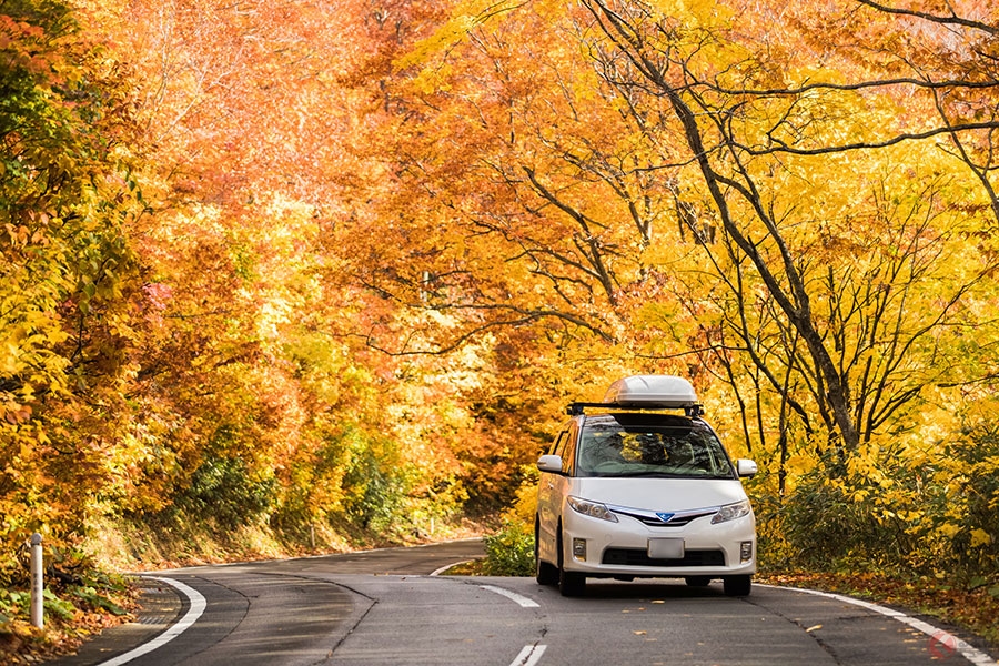 実は危ない 落ち葉 紅葉シーズン到来で秋冬ドライブの注意すべきこと くるまのニュース