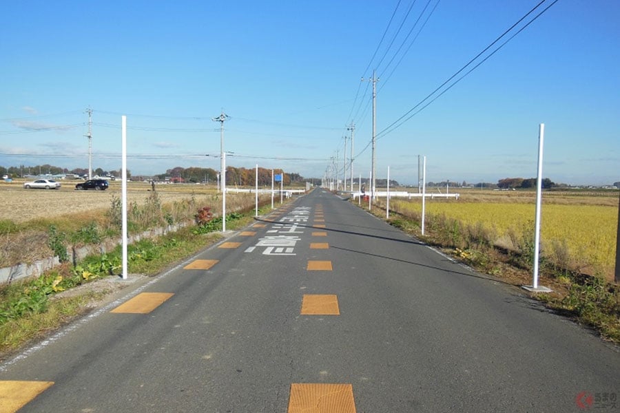 コリジョンコース現象による事故防止のためのポール（栃木県警察提供）