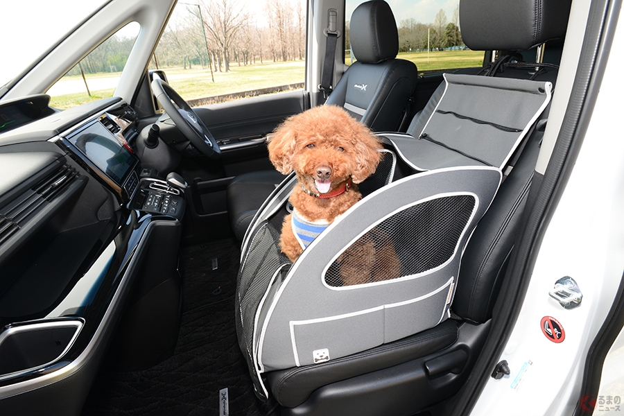 愛犬ドライブをサポートする Honda Dog おすすめの安心 快適グッズ Pr くるまのニュース