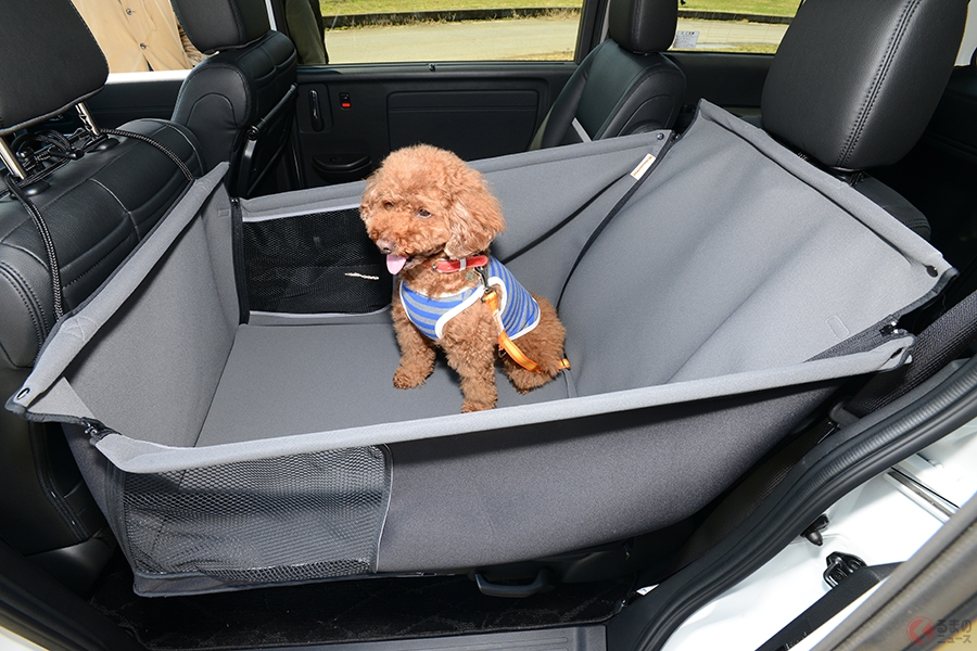 愛犬ドライブをサポートする「Honda Dog」おすすめの安心＆快適グッズ