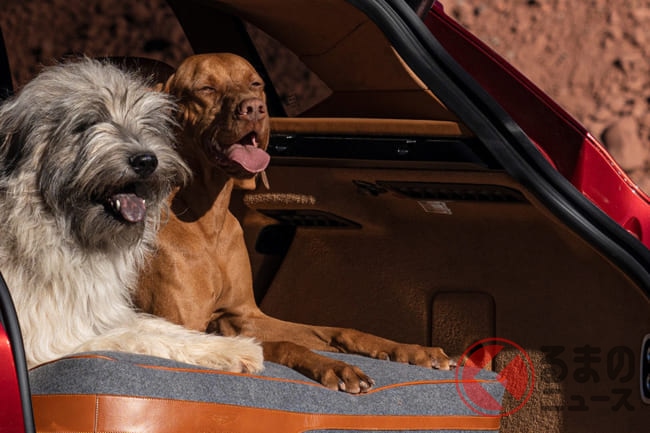 お犬様専用アストンマーティンdbxはいかが 11種類の専用アクセサリー パックを公開 くるまのニュース