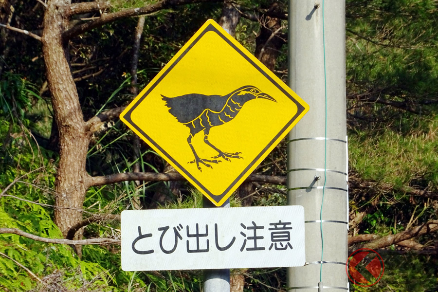 何の意味 あなたはいくつ分かる ご当地特有の道路標識5選 くるまのニュース 何の意味 あなたはいくつ分かる ご当地特有の道路標識5選 くるまのニュース
