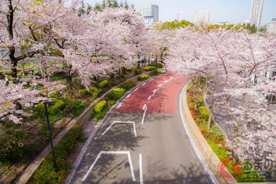 お花見ドライブのイメージ