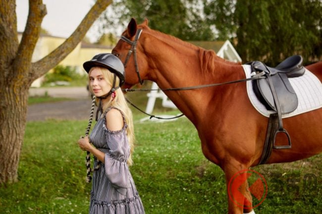 馬で通勤してみたい 道路を走ると違反になる くるまのニュース 馬で通勤してみたい 道路を走ると違反になる くるまのニュース