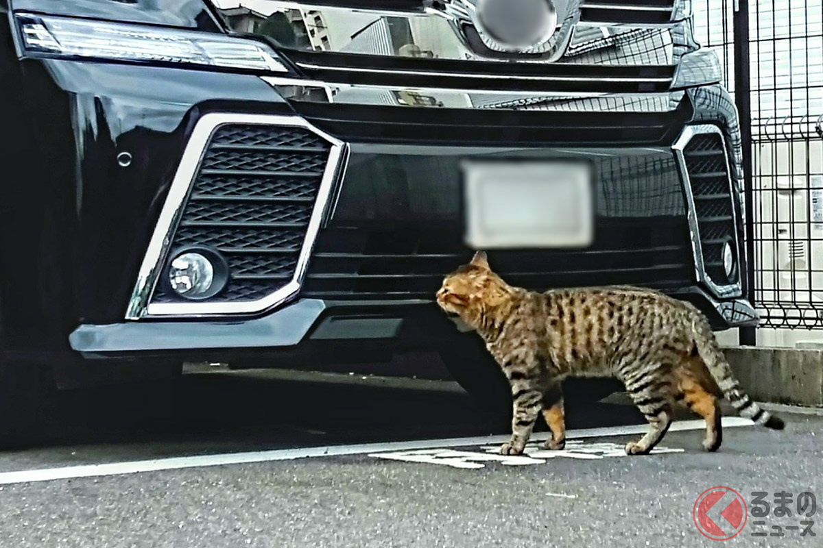 月極駐車場…いくらで借りてますか? 都内23区の驚きの価格差とは?