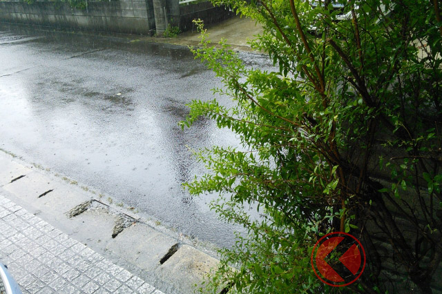 運転中に集中豪雨! 視界不良や冠水時の対処法とは