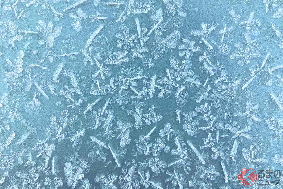 フロントガラスに付着した雪の結晶（画像提供：文月＠gosiki_さん）