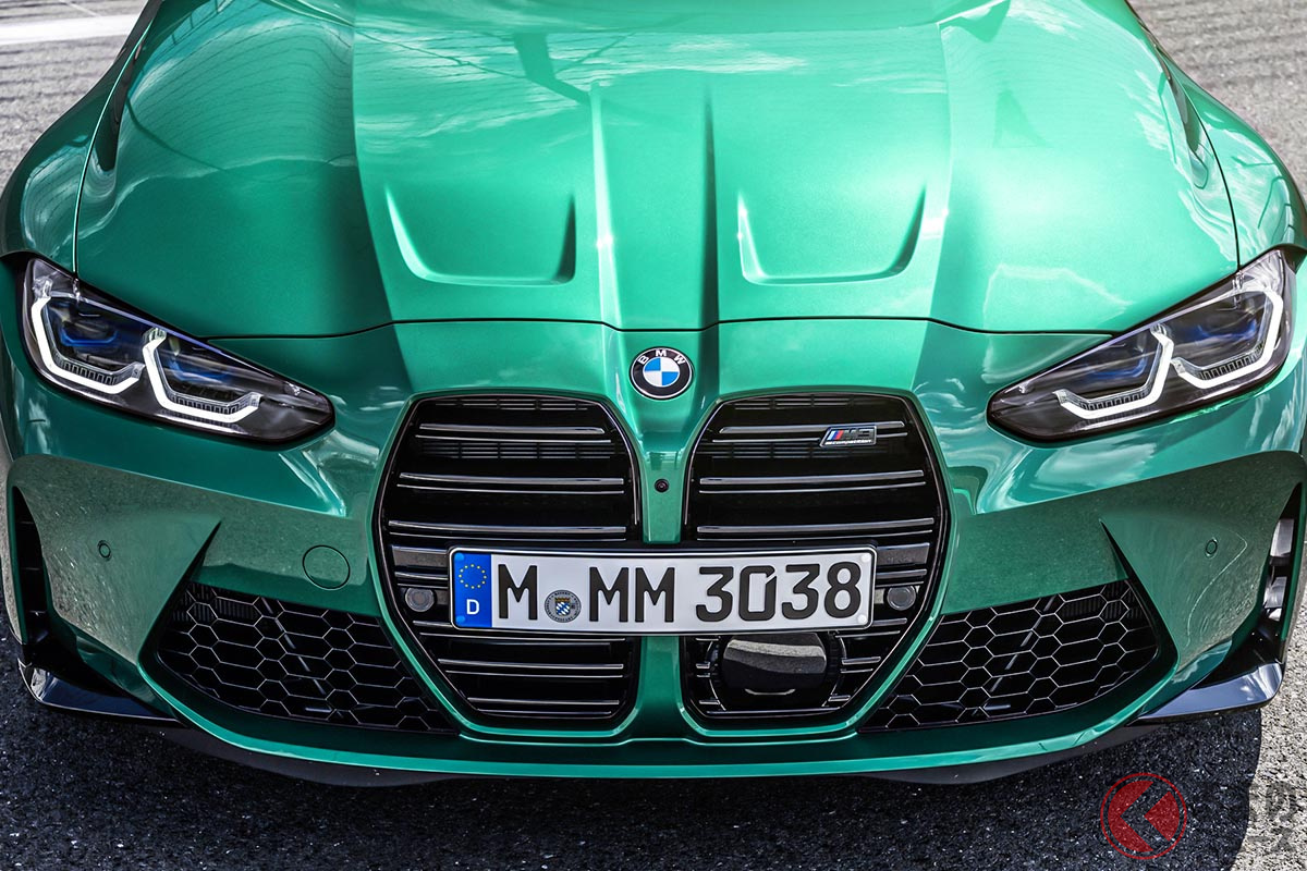 デカキドニーグリルは、賛否両論だが、インパクトが強いことは確かだ