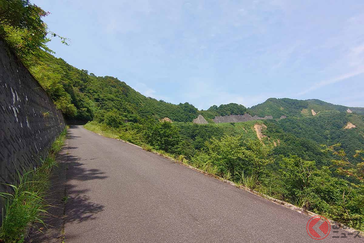 林道冠山線(画像提供:@wakame_slrifleさん)