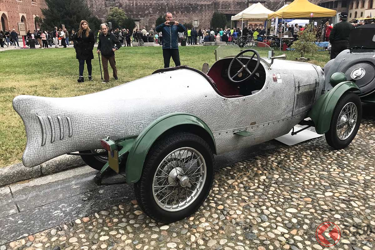 この尾ひれがまさに魚を連想させる(C)野口祐子