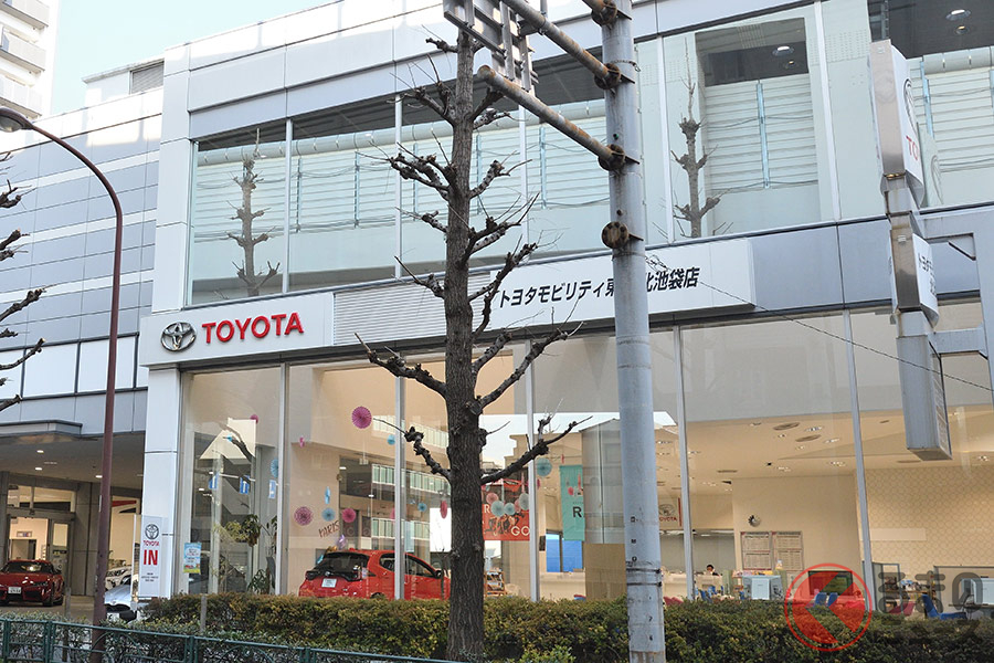 土日は混雑が予想されるため、あらかじめ予約をしたほうがスムーズかもしれない。