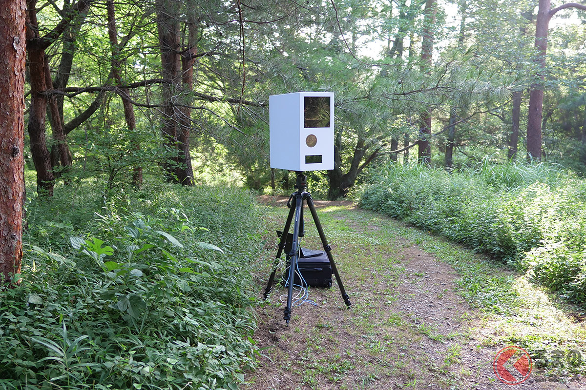 遠方からみるとまるで本物! 自作した移動式オービス風の野鳥撮影用カメラ