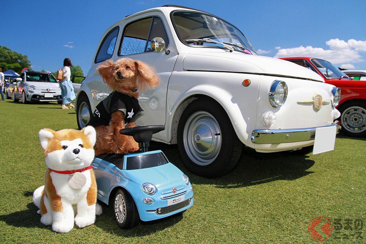 コロナ禍において、クルマのミーティングイベントの楽しみ方も変わりつつある