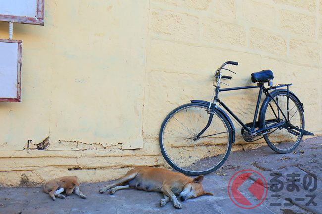 愛犬家としてあり得ない 自転車に乗りながら犬の散歩は道交法違反か 自転車保険適応外の恐れも くるまのニュース