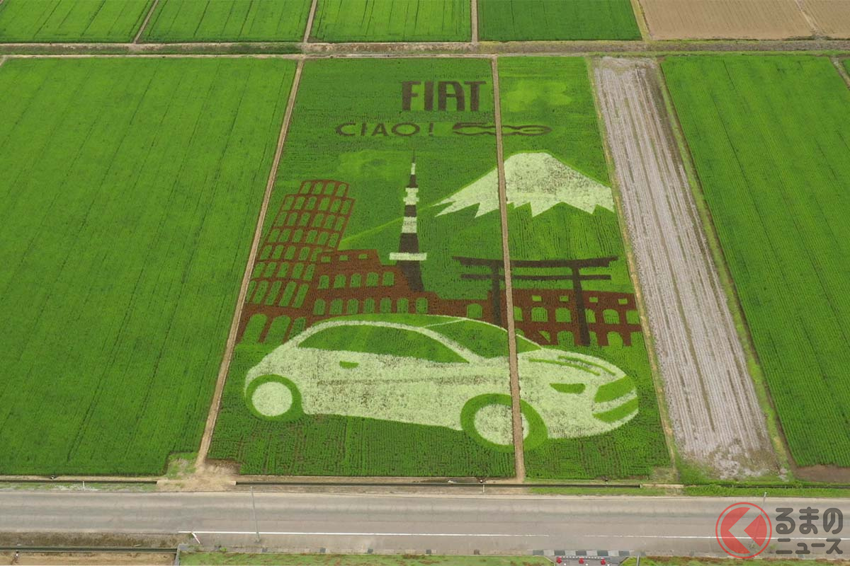 「Made In Japan Project」の一環でおこなわれた「田んぼアート」