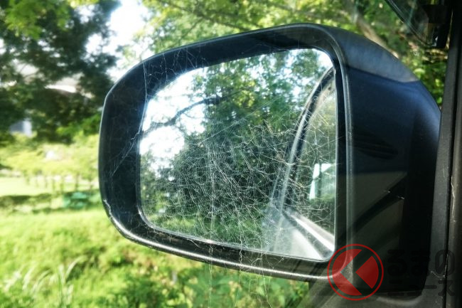 ドアミラーが クモの巣 地獄 なぜクモはミラーに巣を張りたがるのか くるまのニュース ドアミラーが クモの巣 地獄 なぜクモはミラーに巣を張りたがるのか くるまのニュース