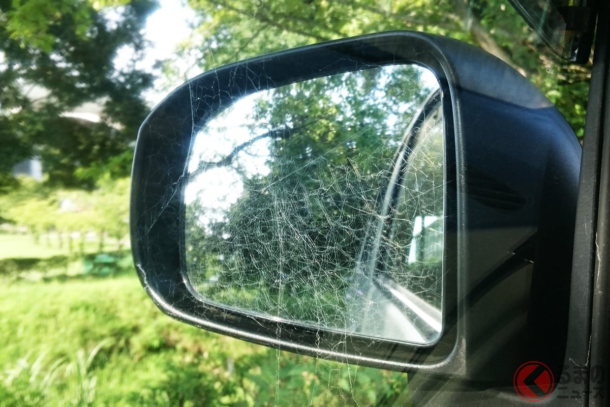 ドアミラーが クモの巣 地獄 なぜクモはミラーに巣を張りたがるのか くるまのニュース ドアミラーが クモの巣 地獄 なぜクモはミラーに巣を張りたがるのか くるまのニュース