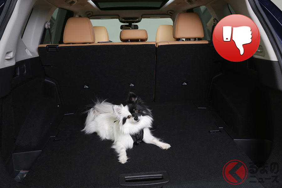 ペットを車内で野放しにするのは危険 犬を安全にクルマに乗せる方法とは くるまのニュース ペットを車内で野放しにするのは危険 犬を安全にクルマに乗せる方法とは くるまのニュース