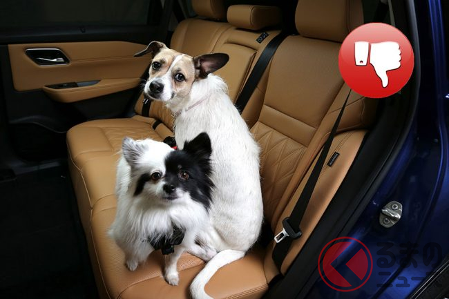 ペットを車内で野放しにするのは危険 犬を安全にクルマに乗せる方法とは くるまのニュース