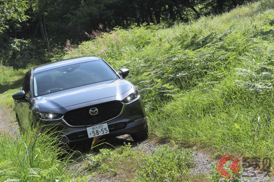 未舗装路も問題なく走行。コンパクトといったもSUV。最低地上高は175mm