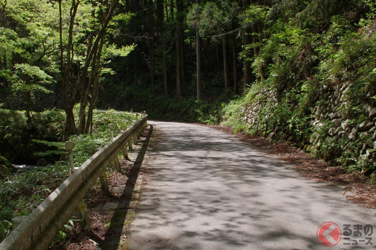 画像はイメージ