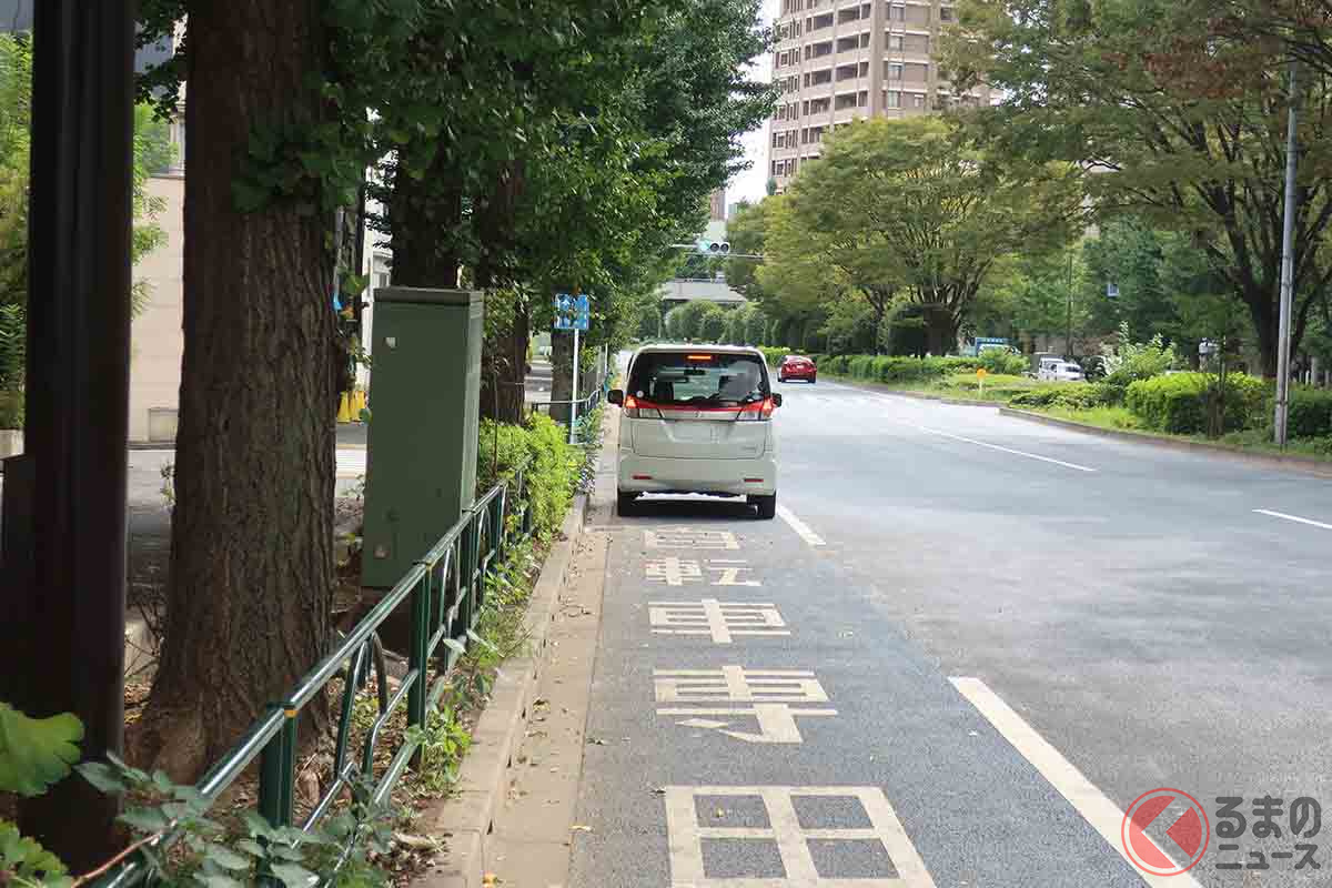 自転車専用帯が用意されている場所でも、このように駐停車されていることもある