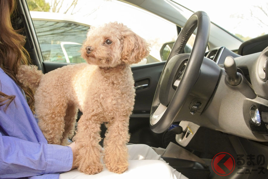 クルマでのペットとのおでかけ。ふんをしてしまう犬に罪はない