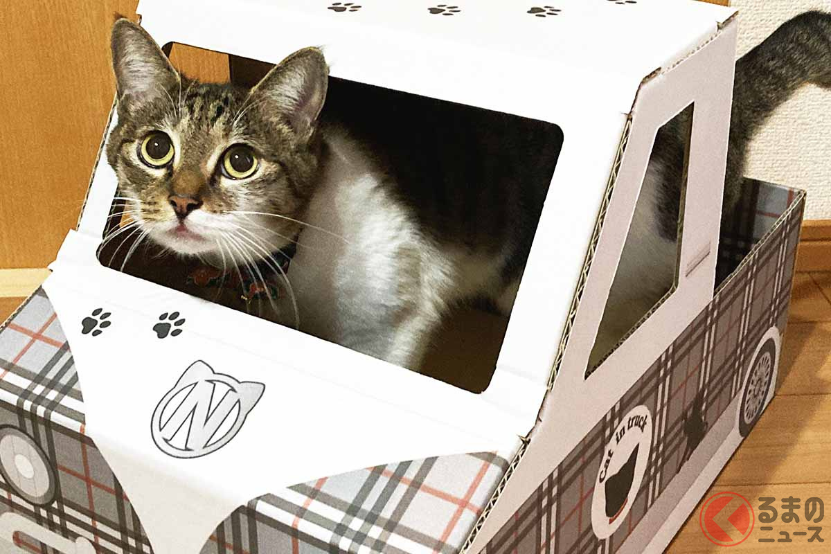 「ネコ専用トラック」タータンチェック柄