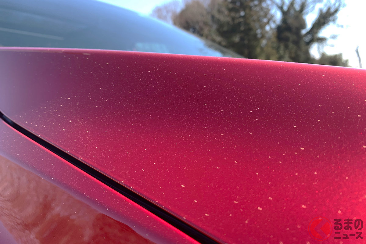 ボディに花粉が付着しているのを放置すると落ちにくくなるため、とくに2月から5月には定期的な洗車を心がけたい。