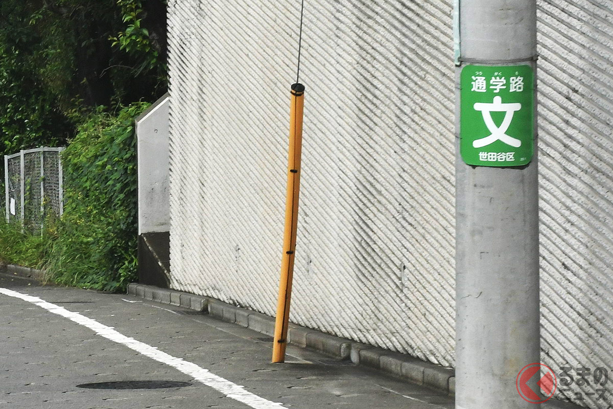 黄色い謎の存在ともいえる「支線ガード」