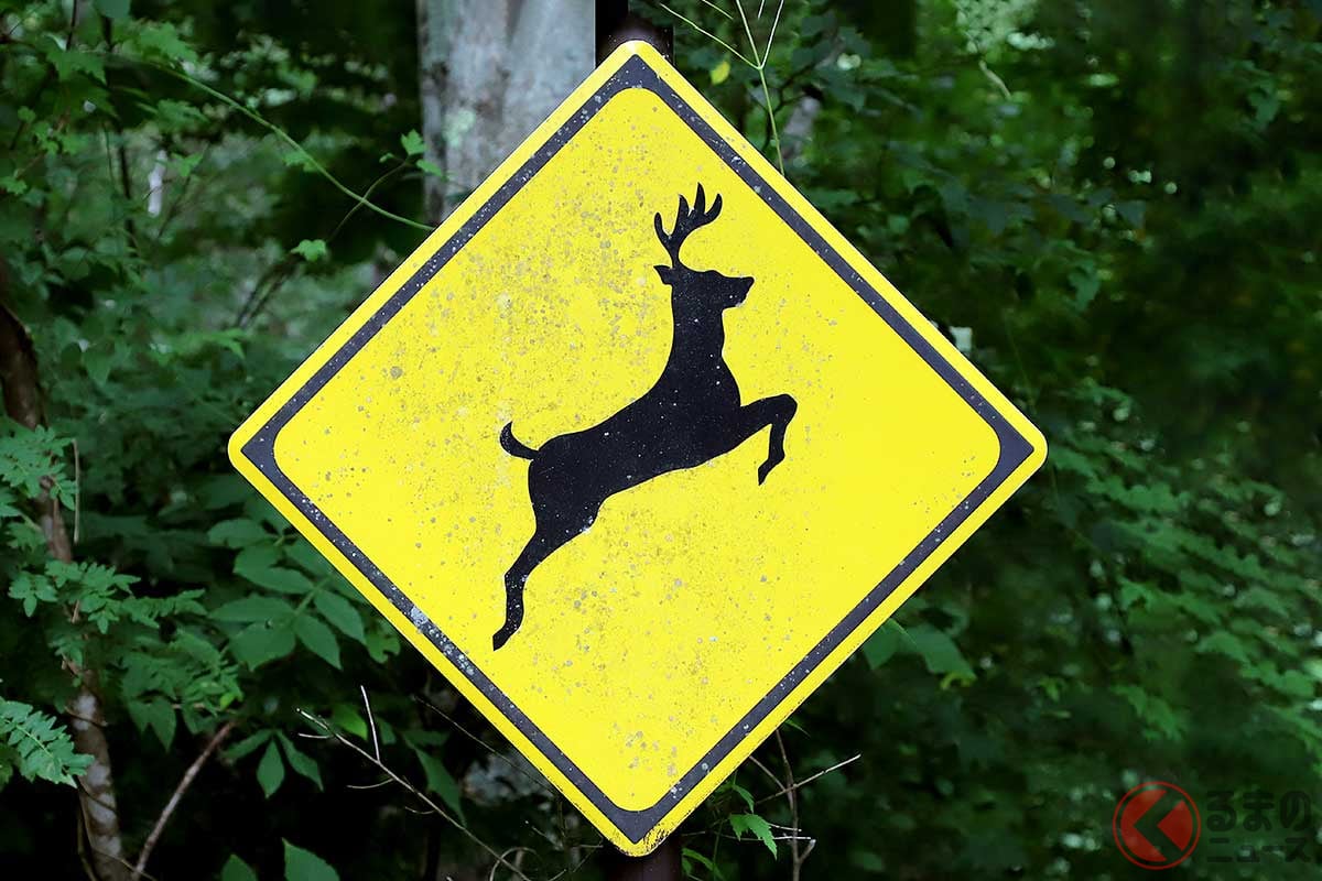 野生動物との接触で大きな事故になることがある