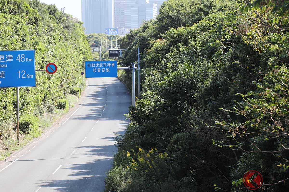 固定式オービスの予告看板。千葉県で撮影(画像:オービスガイド)