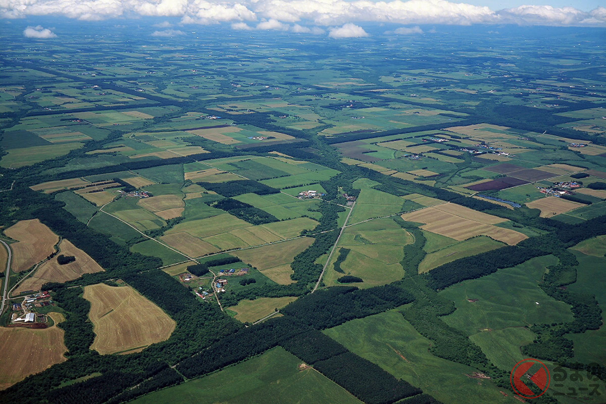 日本最大級の「中標津格子状防風林」を上空から見た様子(画像提供:中標津町 農林課自然環境係)