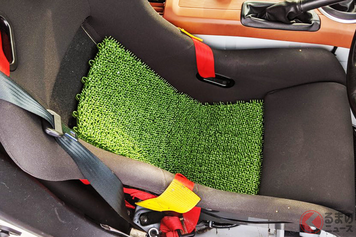 チクチクが気持ちいい? 人工芝で暑さ対策!(画像提供:やまよ@6/27ペン銀走 群サイ(@045yamy))