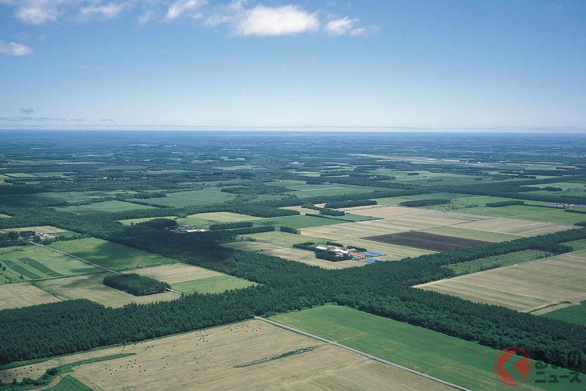 上空から見ると十字路のように見える「中標津格子状防風林」(画像提供:中標津町 農林課自然環境係)