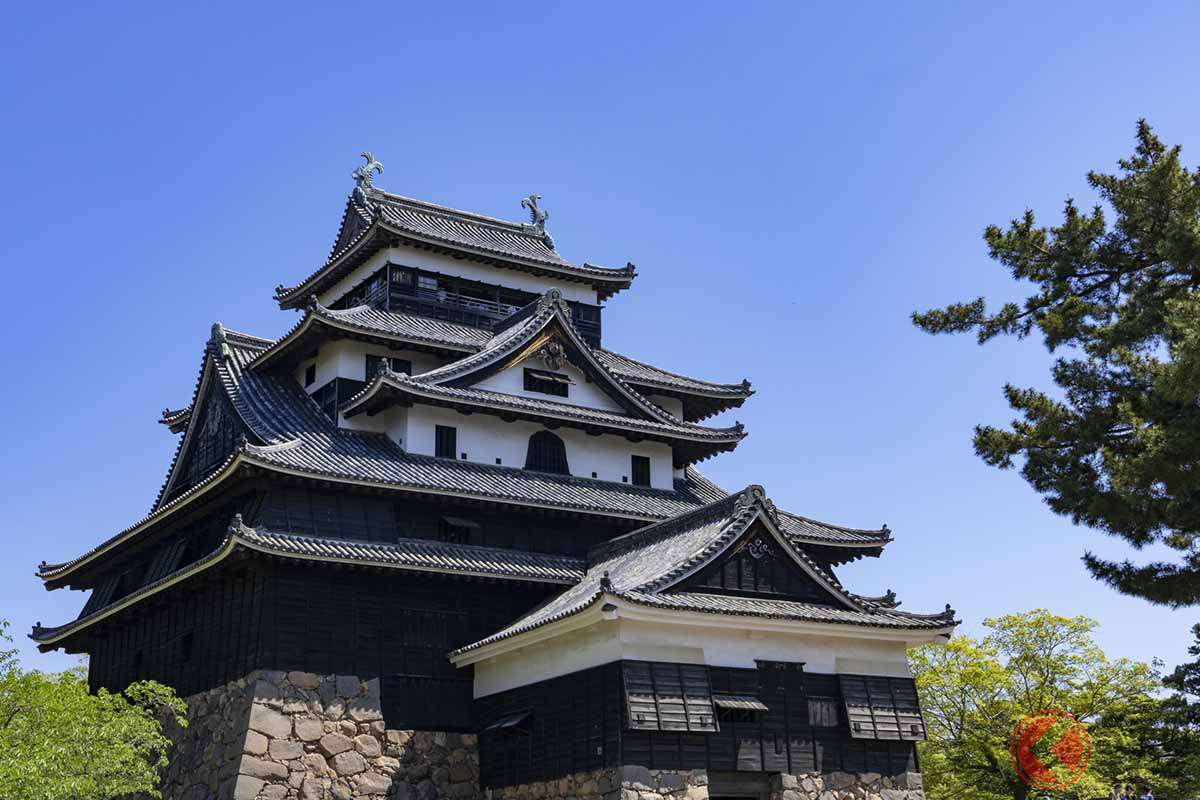 松江城(画像:写真AC)