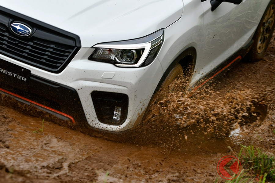 河川敷ではぬかるみ にはまってしまうことも(画像はイメージ)