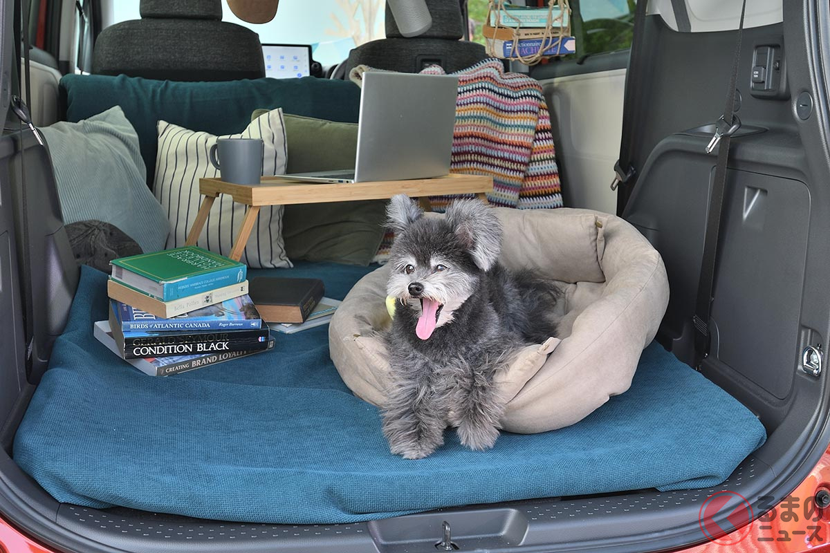 トヨタcmで 可愛すぎる ワンコ と話題 シエンタ犬 の正体が明らかに 結構 オトナ 気になるプロフィールは くるまのニュース トヨタcmで 可愛すぎる ワンコ と話題 シエンタ犬 の正体が明らかに 結構 オトナ 気になるプロフィールは くるまのニュース