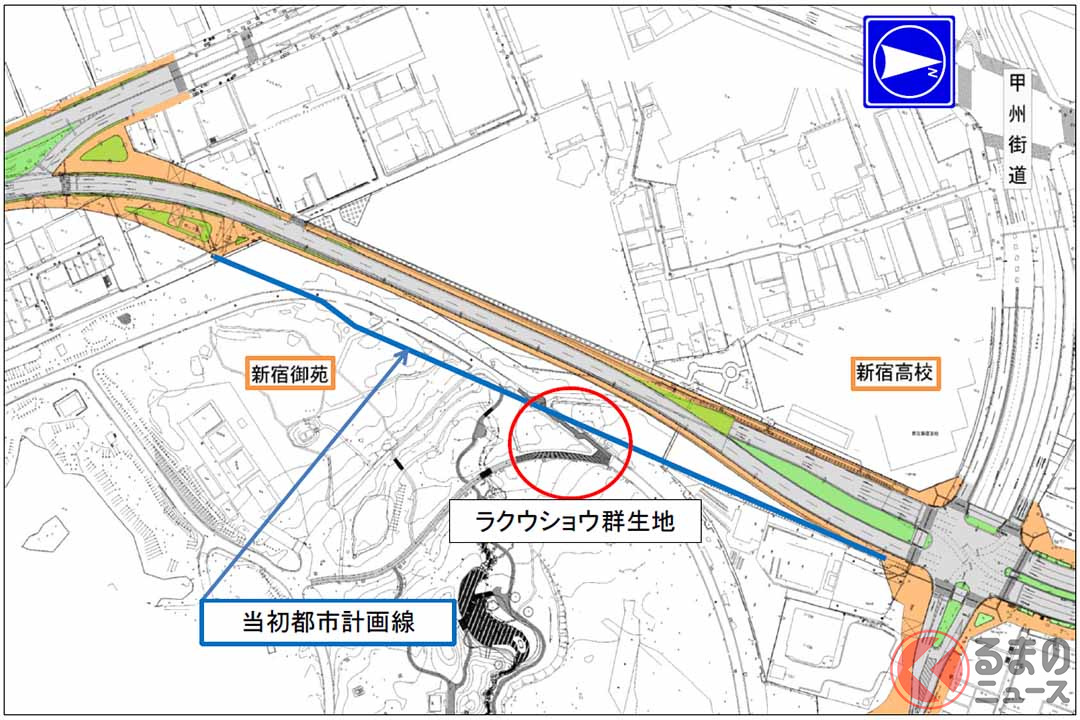 当初は、計画の範囲がラクウショウの群生地にかかっていた(画像:東京都建設局)