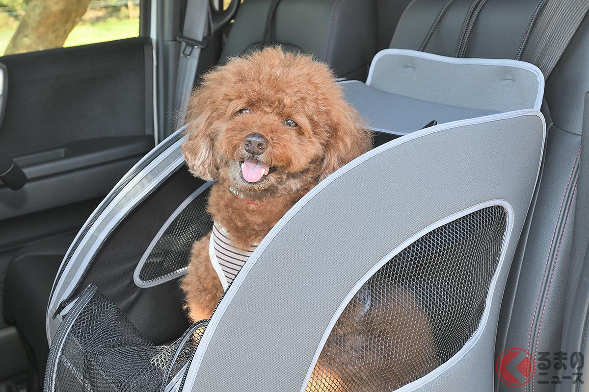 犬をクルマに乗せるときは車内で動き回らないようにする