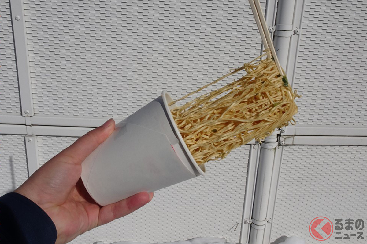 え!? 何なのコレ?(画像提供:中部地方整備局飯田国道事務所木曽維持出張所)