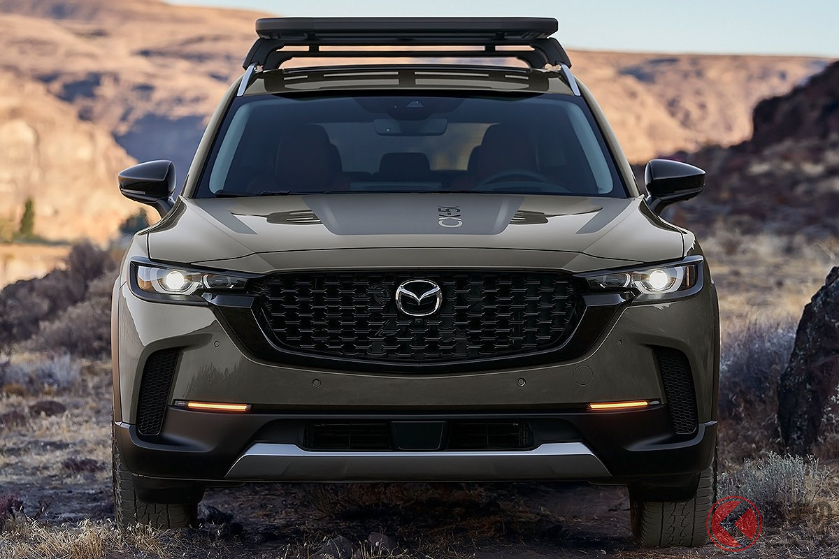 今後、世界的に流行しそうな勢いがある「ワイルド系」SUVたち