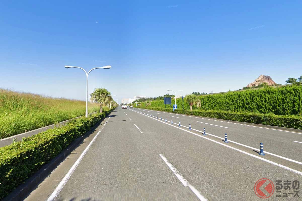 規制対象となる東京ディズニーリゾートの外周道路((C) Google)