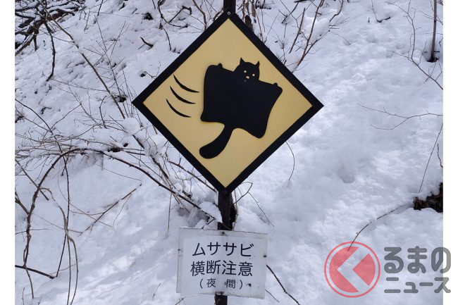 激レア!!道路標識【善光寺】【飯田駅】 - コレクション