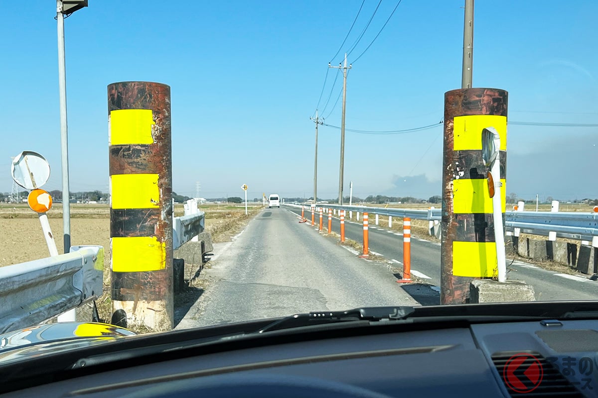 もはやイジメ? なぜ道路に鎮座?(画像提供:MAKIKO(@Fedelix14)さん)