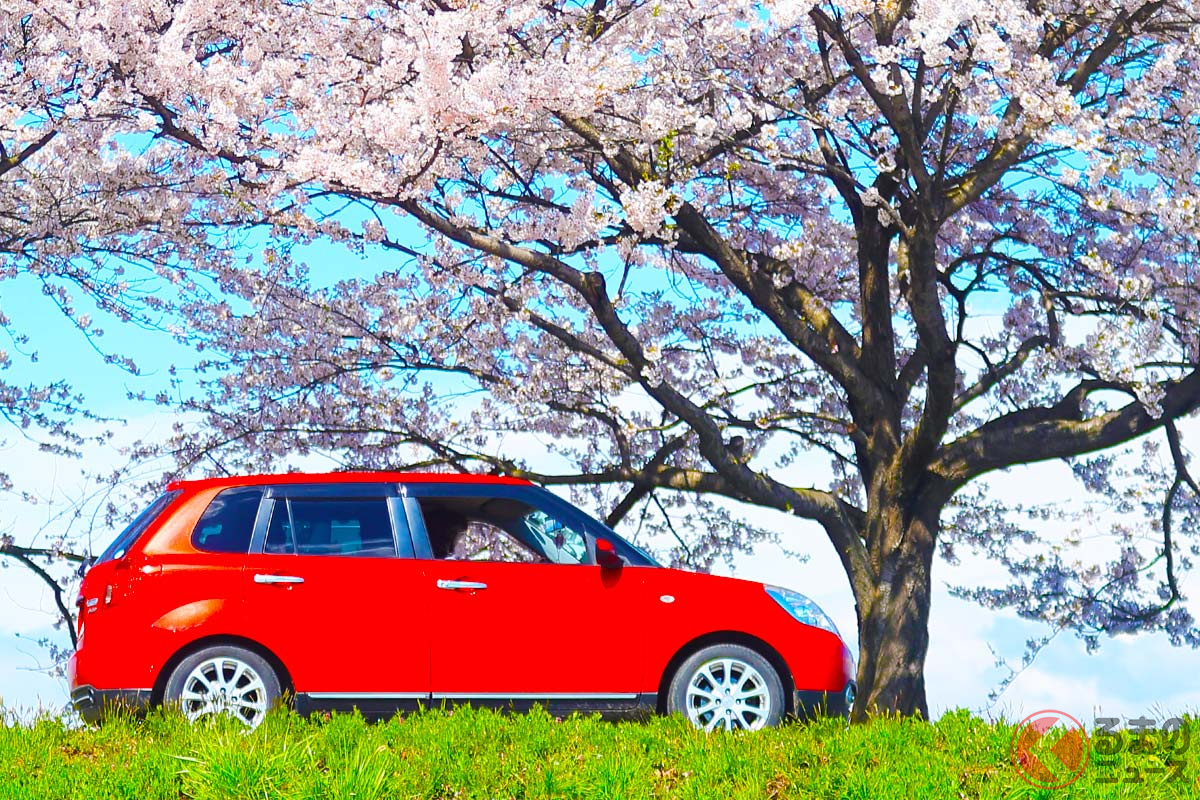 桜の花びらにはクルマに良くない成分が含まれている