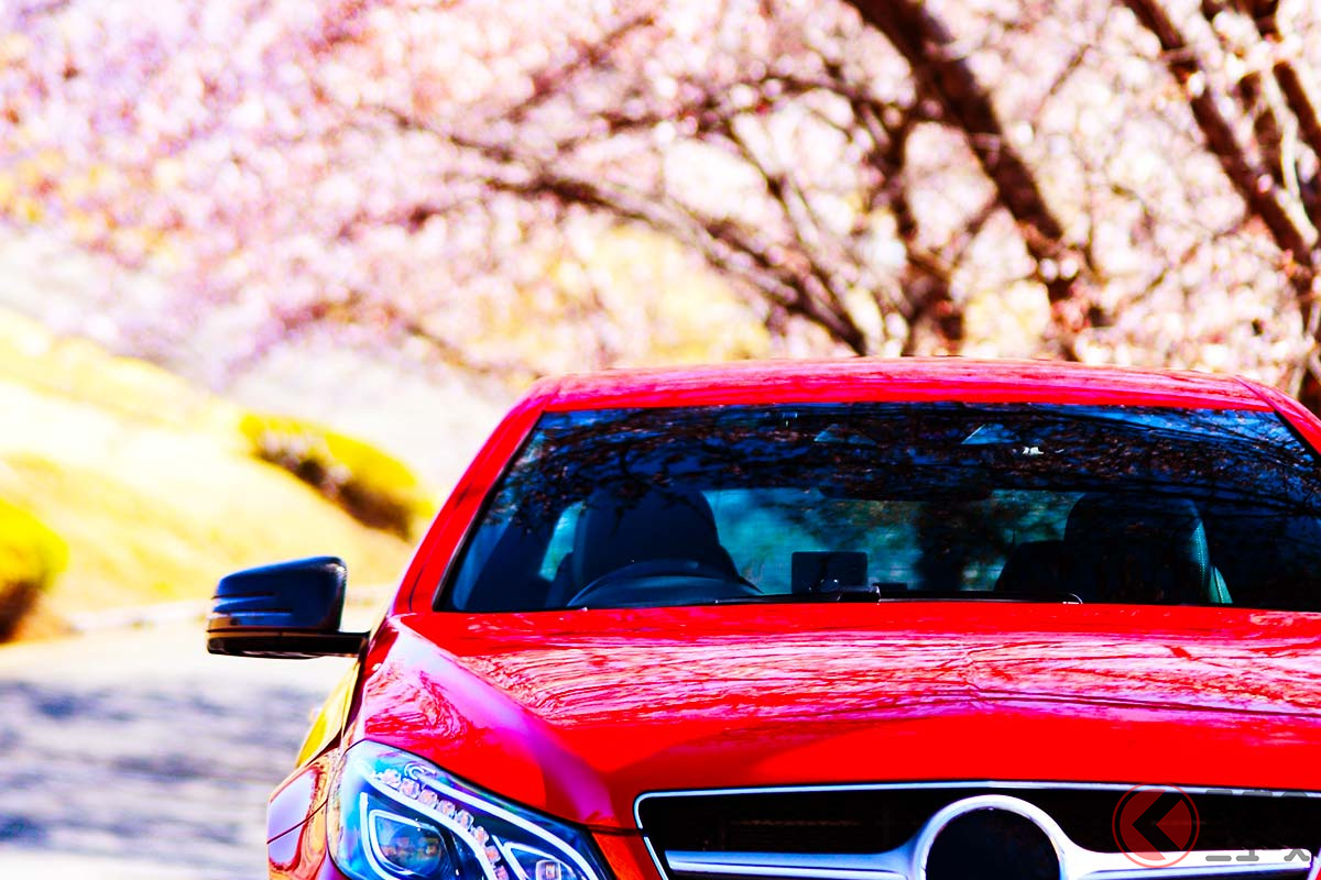 美しい桜も、クルマに付着したら洗車して落としましょう