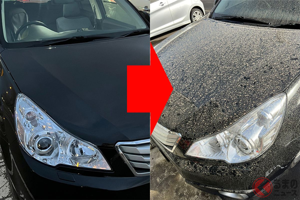 黄砂によって一晩で黄色くなってしまった黒い車(画像:ティシル(@tisir_schnee))